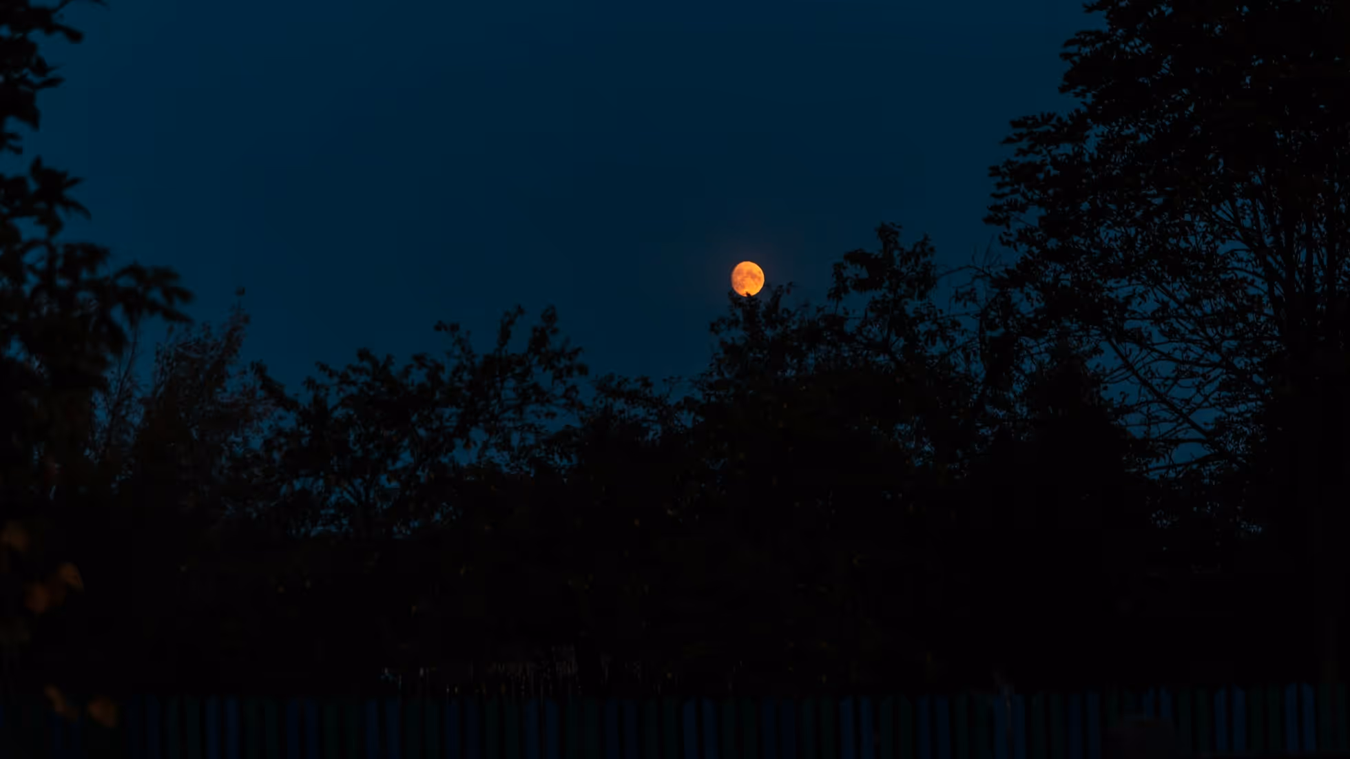 AstroVerse-Lorem ipsum dolor sit amet