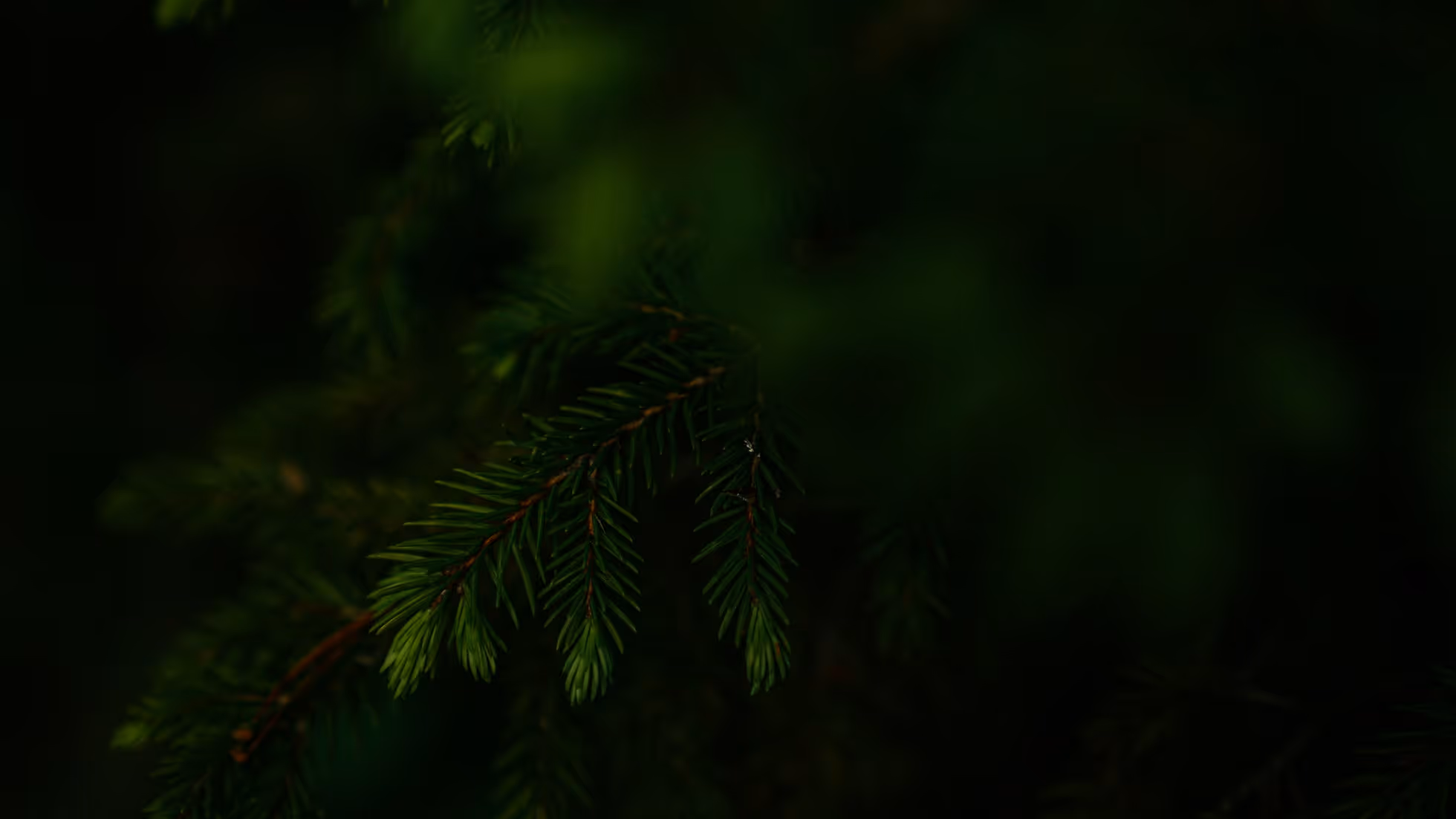 AstroVerse-Lorem ipsum dolor sit amet